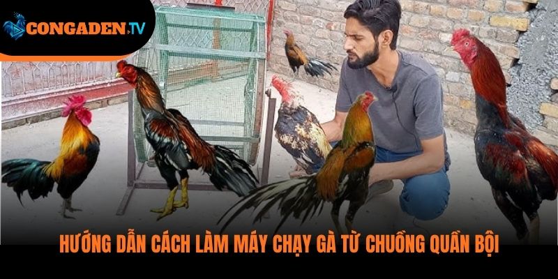 cách làm máy chạy gà chọi