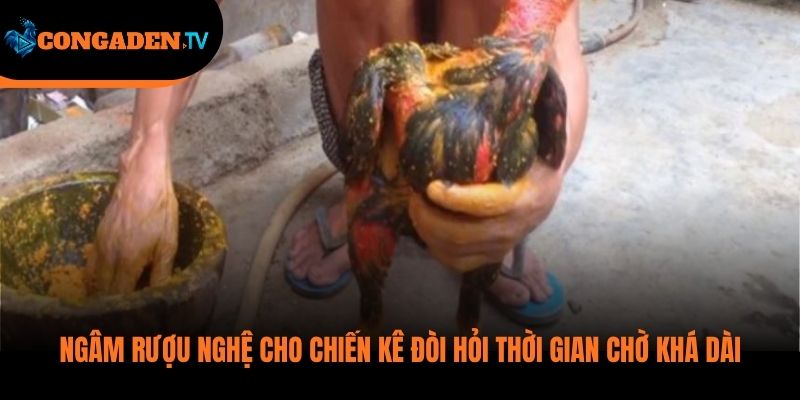 cách ngâm rượu nghệ cho gà