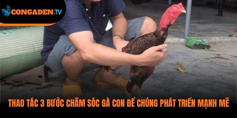 kỹ thuật đổ gà đá